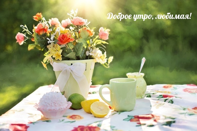 Доброе утро, любимая!