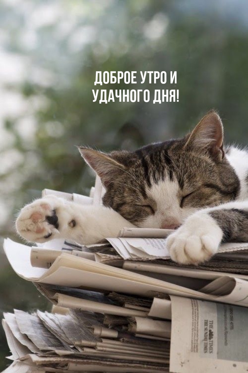 Доброе утро и удачного дня!
