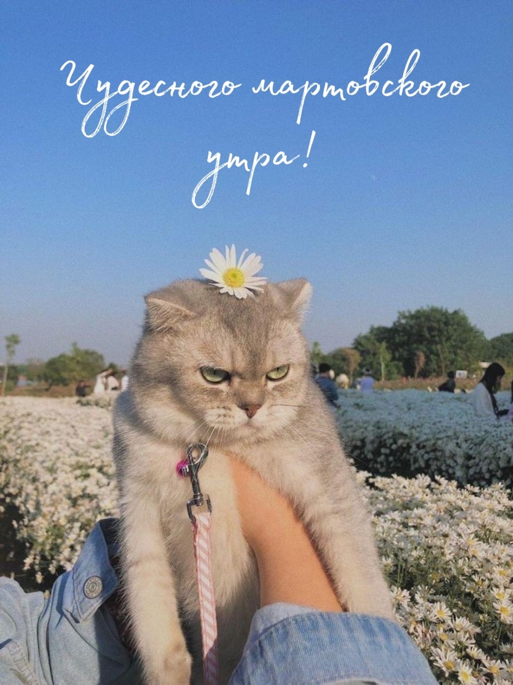 Чудесного мартовского утра!