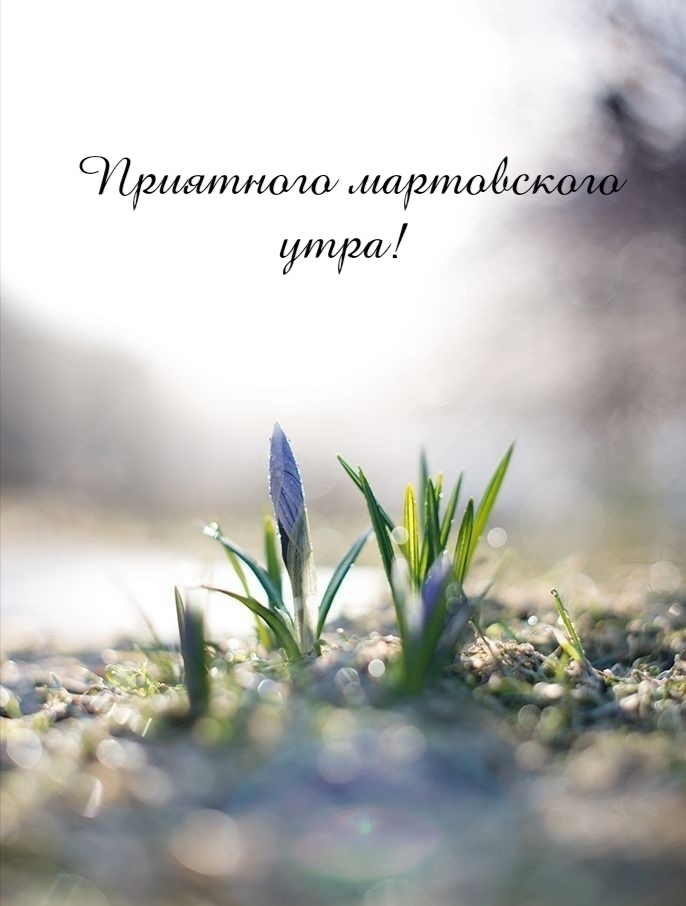 Приятного мартовского утра!