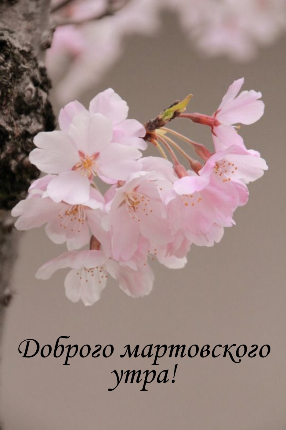 Доброго мартовского утра!
