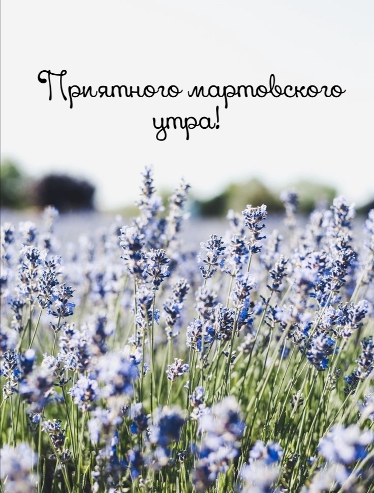 Приятного мартовского утра!