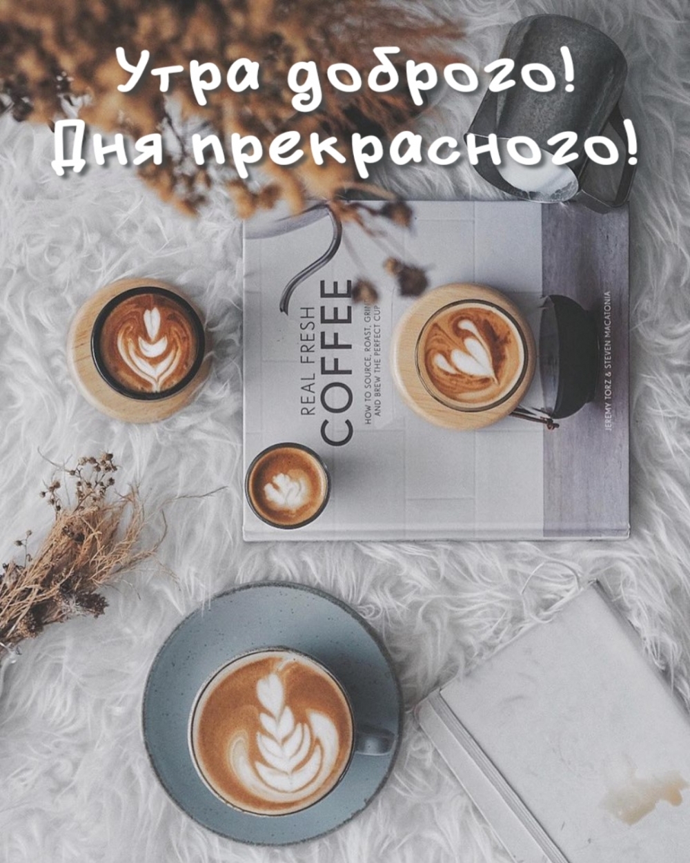 Утра доброго! Дня прекрасного!