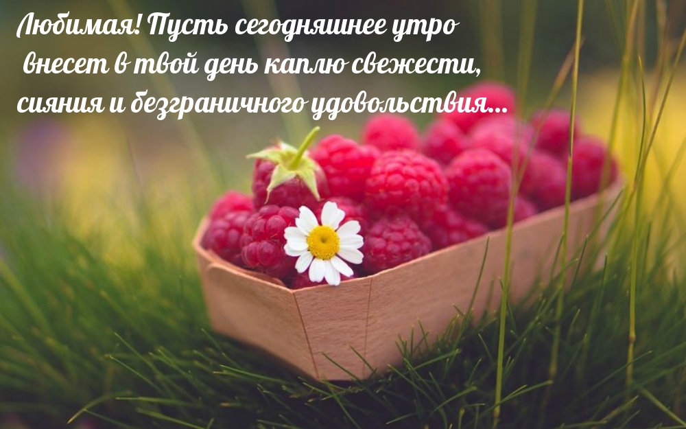 Любимая! Пусть сегодняшнее утро принесет свежести