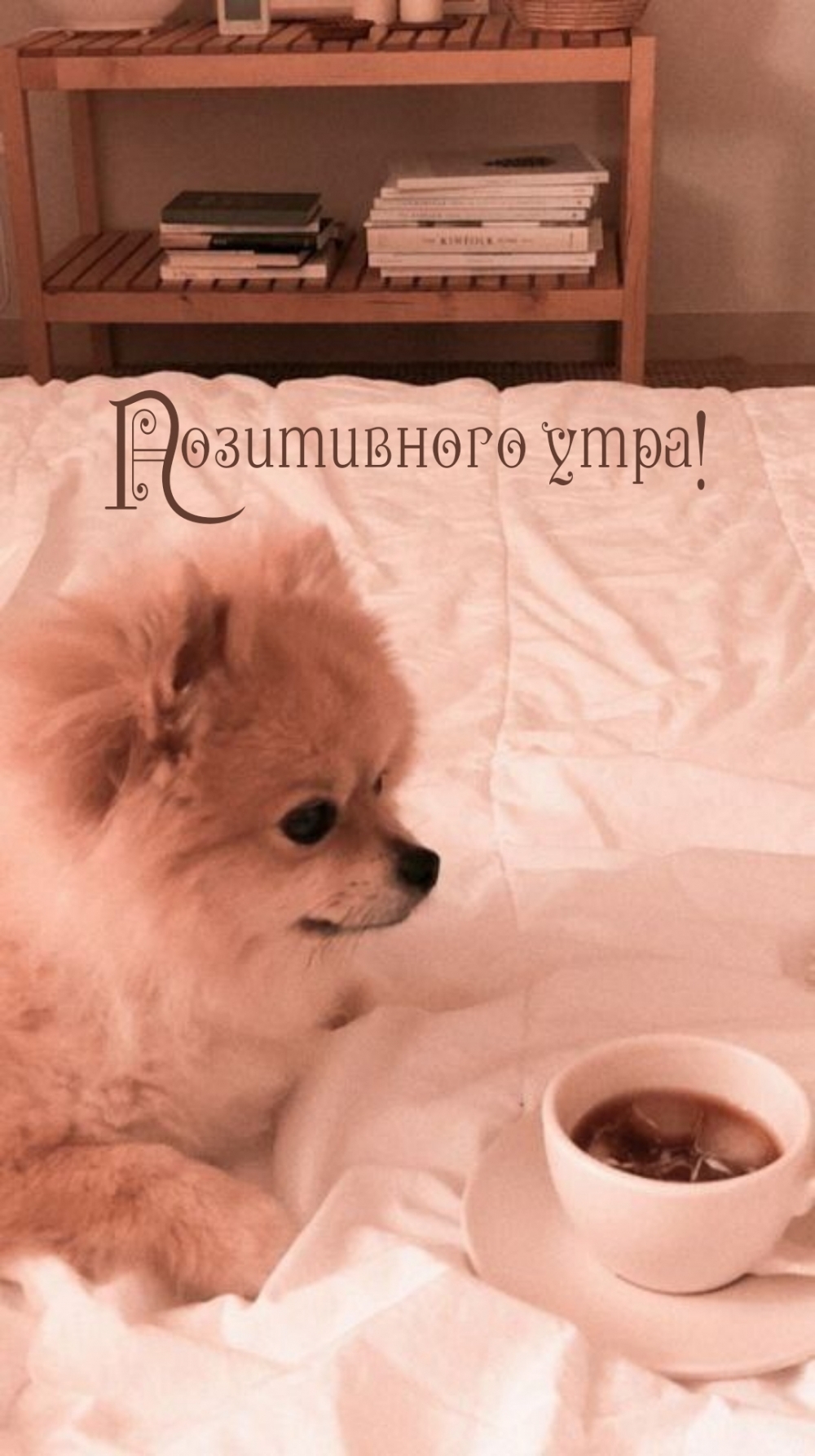 Позитивного утра!