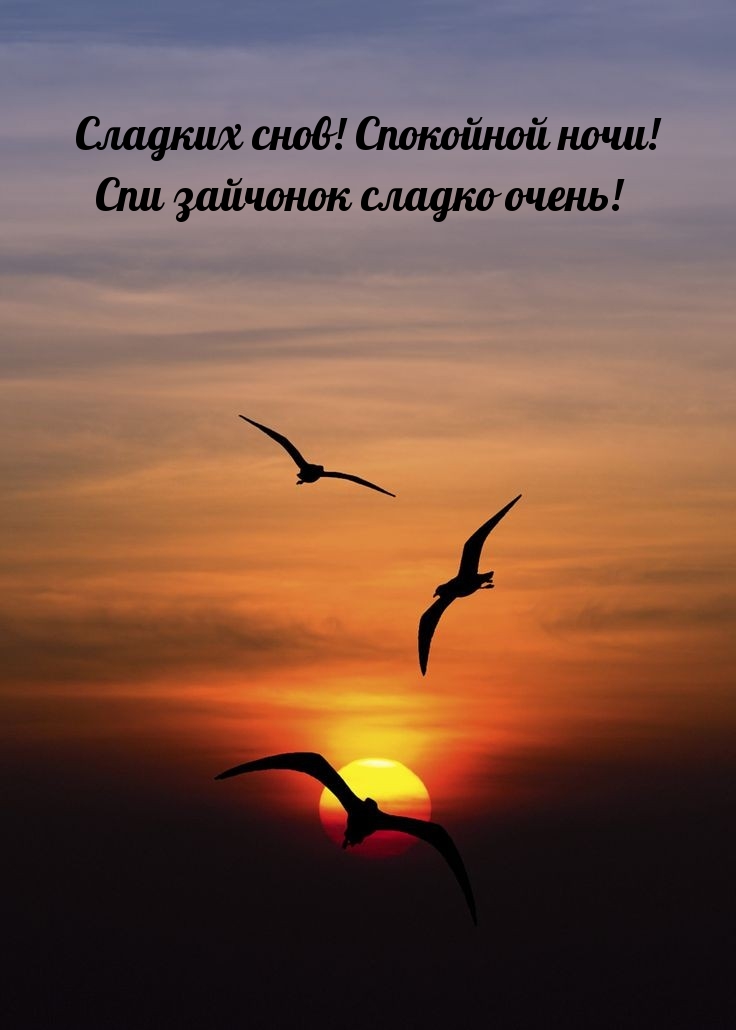 Сладких снов! Спокойной ночи! Спи зайчонок сладко очень!