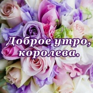 Доброе утро, королева