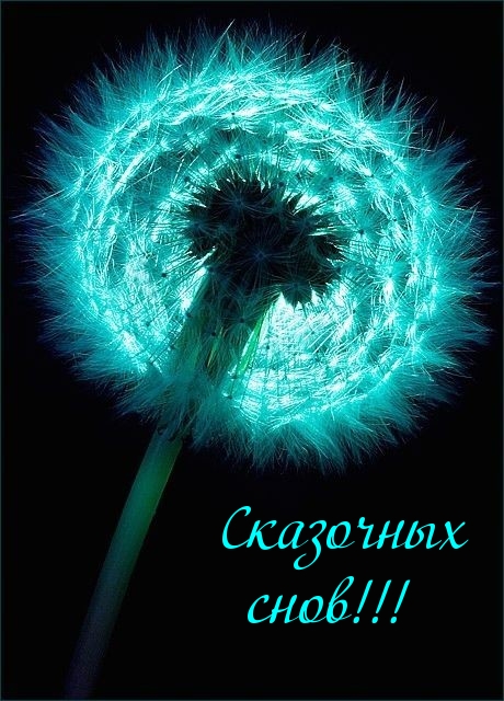Сказочных снов!