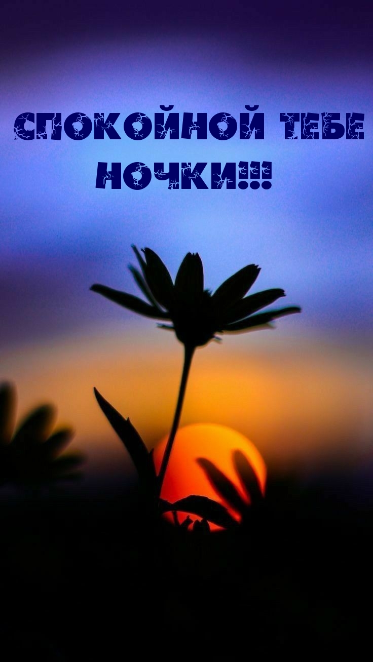Спокойной тебе ночки!