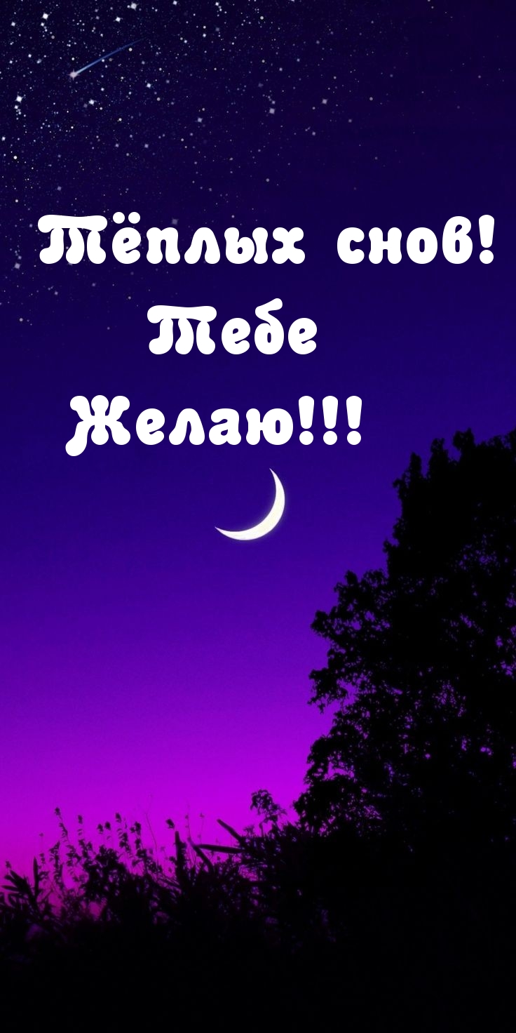 Тёплых снов! Тебе Желаю!