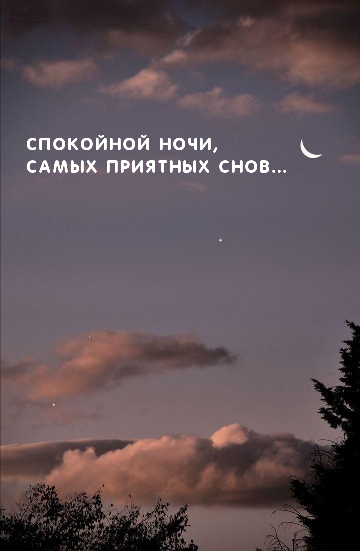Спокойной ночи, самых приятных снов…