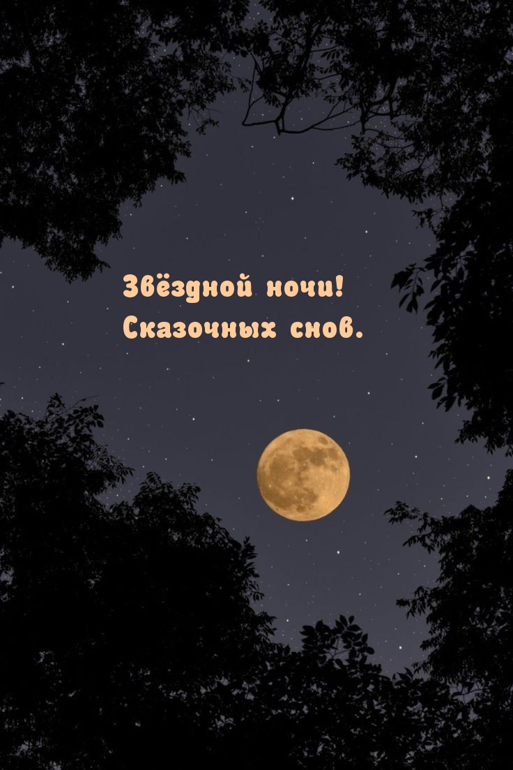 Звёздной ночи! Сказочных снов.