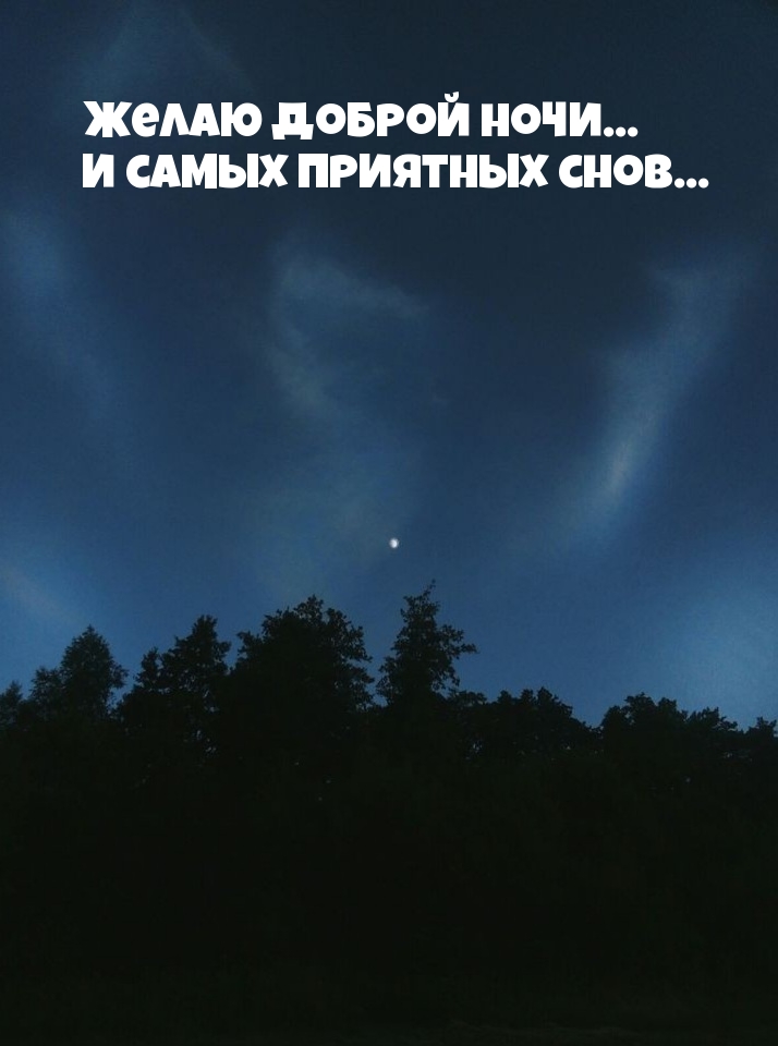Желаю доброй ночи… И самых приятных снов…