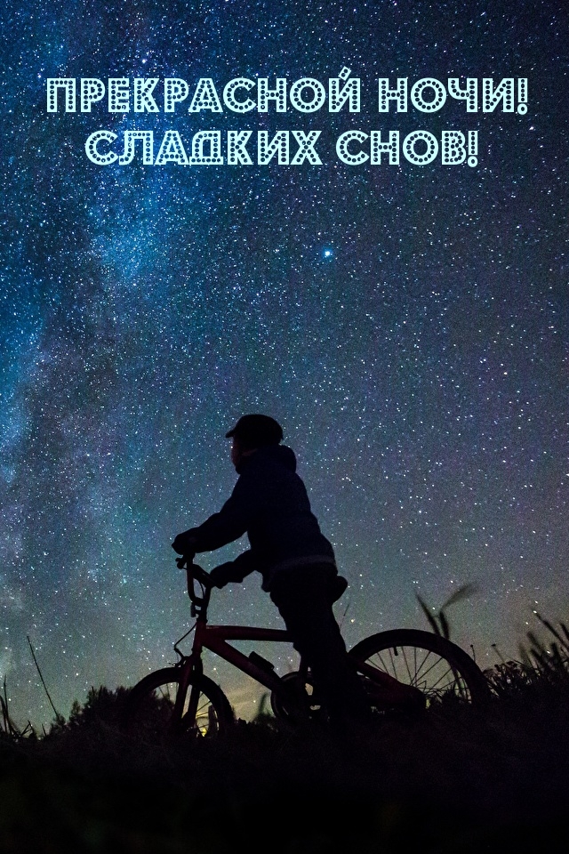 Прекрасной ночи! Сладких снов!