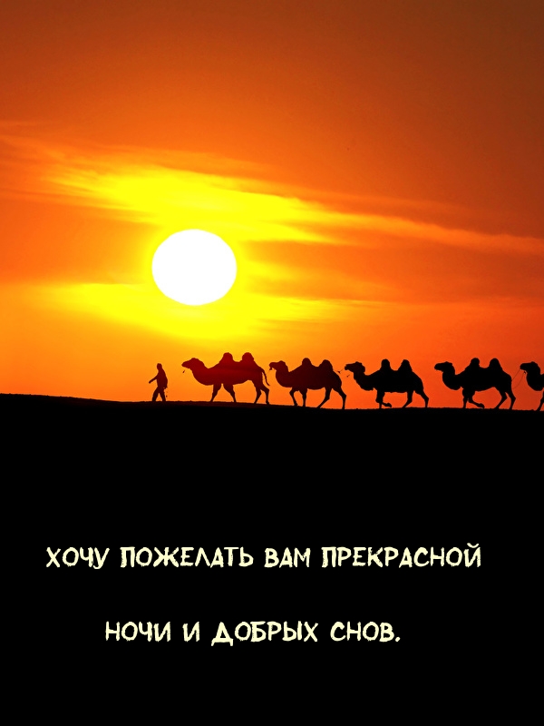 Хочу пожелать Вам прекрасной ночи и добрых снов.
