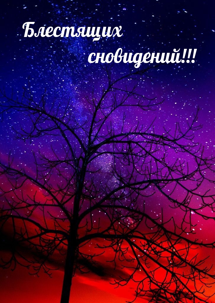 Блестящих сновидений!