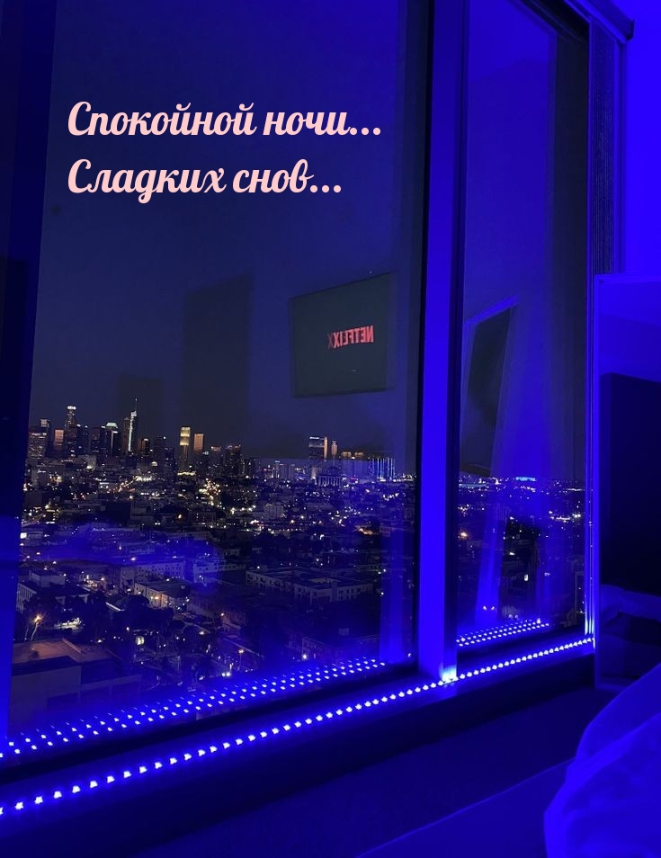 Спокойной ночи… Сладких снов…