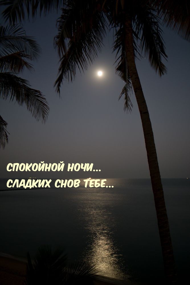 Спокойной ночи… Сладких снов тебе…