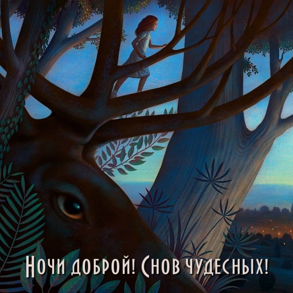 Ночи доброй! Снов чудесных!