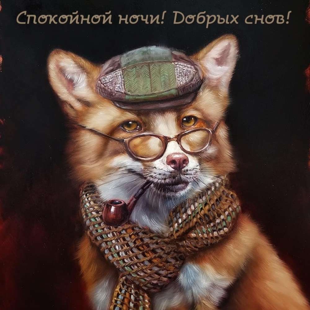 Спокойной ночи! Добрых снов!