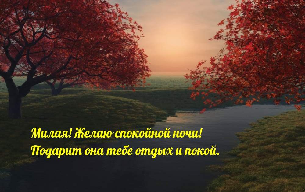 Милая! Желаю спокойной ночи!