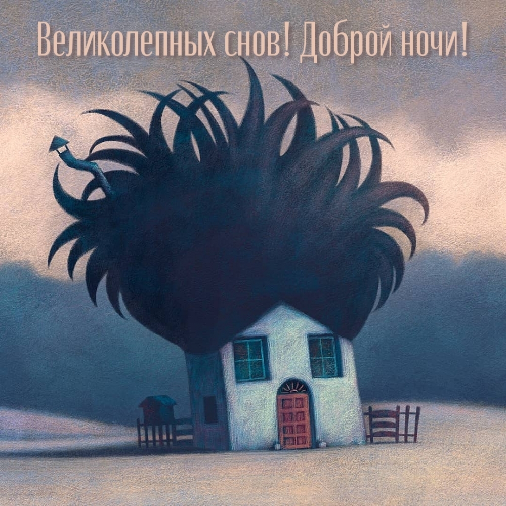 Великолепных снов! Доброй ночи!