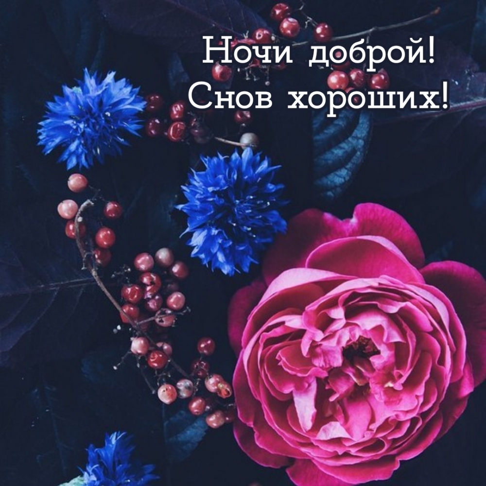 Ночи доброй! Снов хороших!