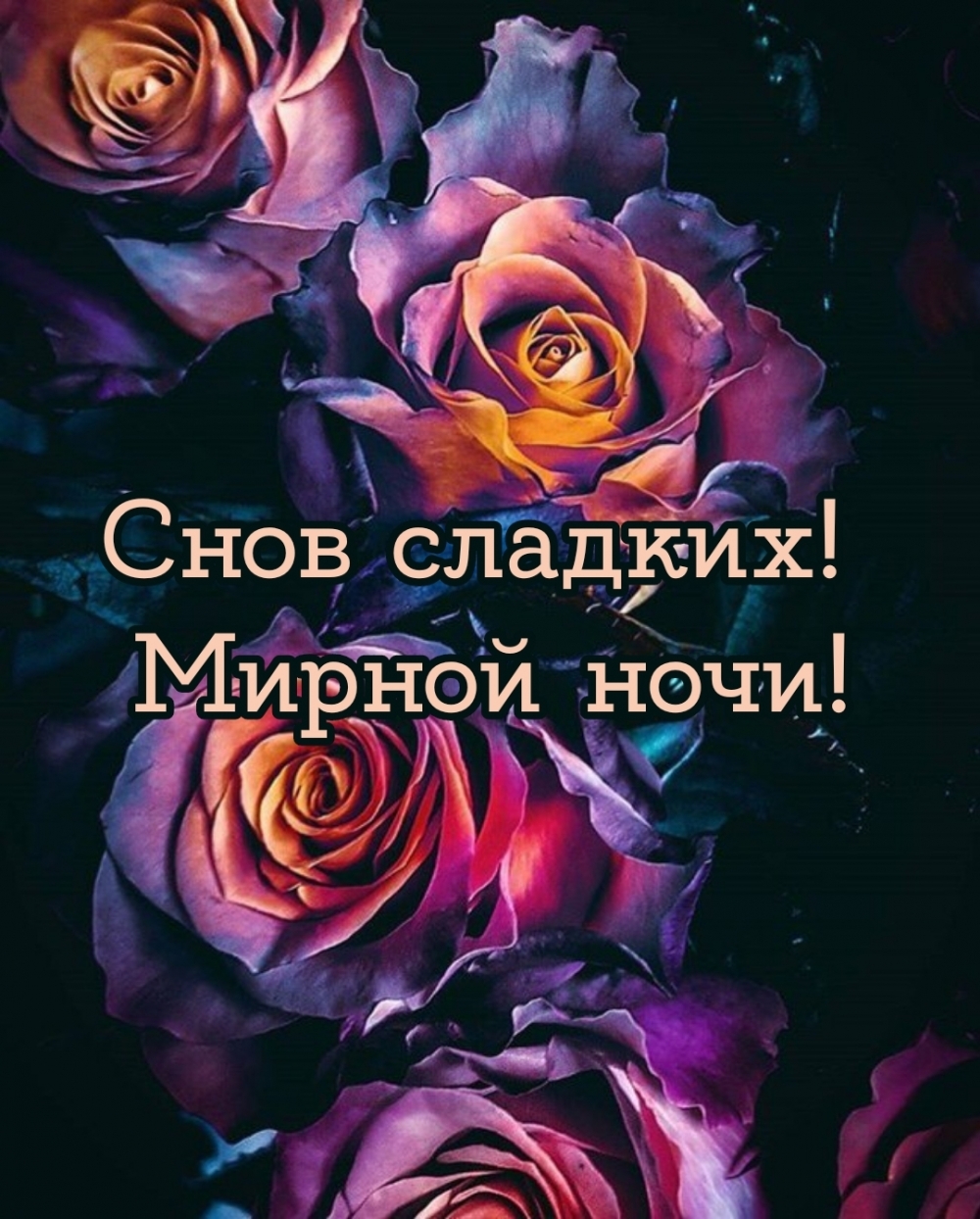Снов сладких! Мирной ночи!
