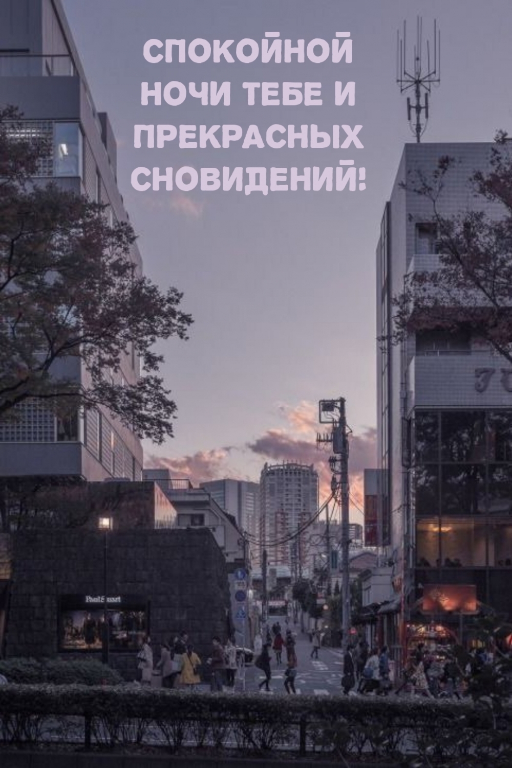 Спокойной ночи тебе и прекрасных сновидений!