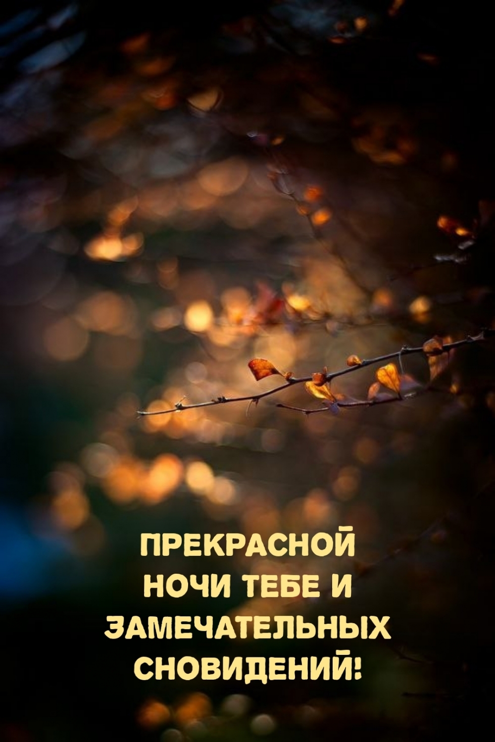 Прекрасной ночи тебе и замечательных сновидений!