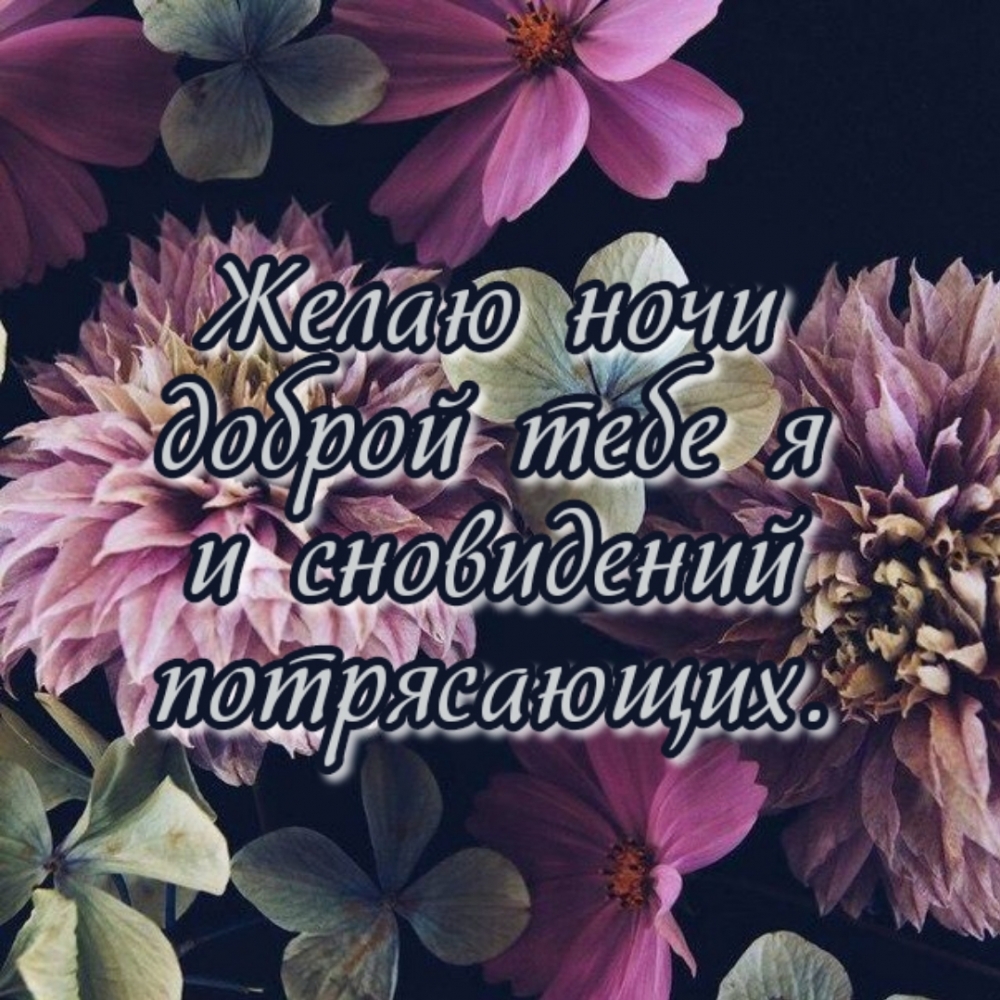 Желаю ночи доброй тебе я и сновидений потрясающих.