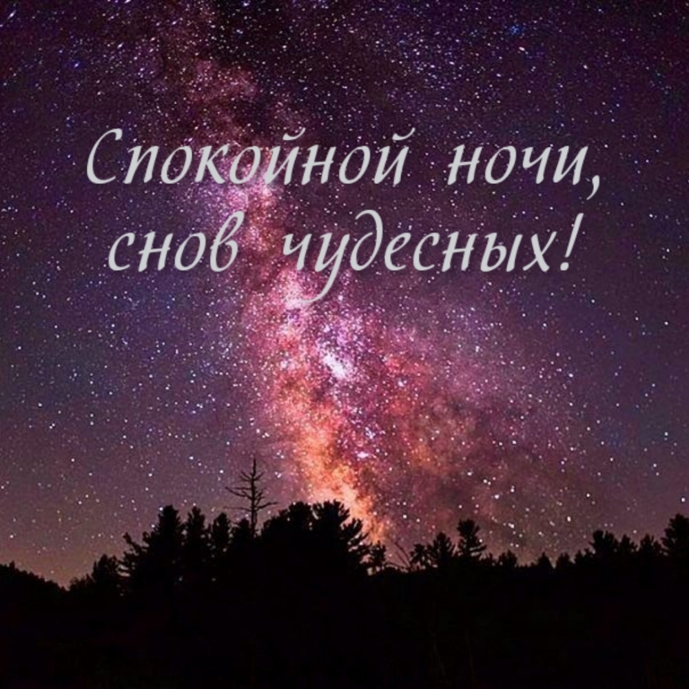 Спокойной ночи, снов чудесных!