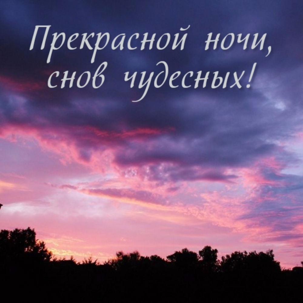 Прекрасной ночи, снов чудесных!