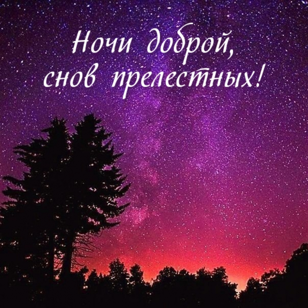 Ночи доброй, снов прелестных!