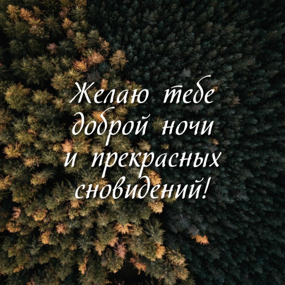 Желаю тебе доброй ночи и прекрасных сновидений!