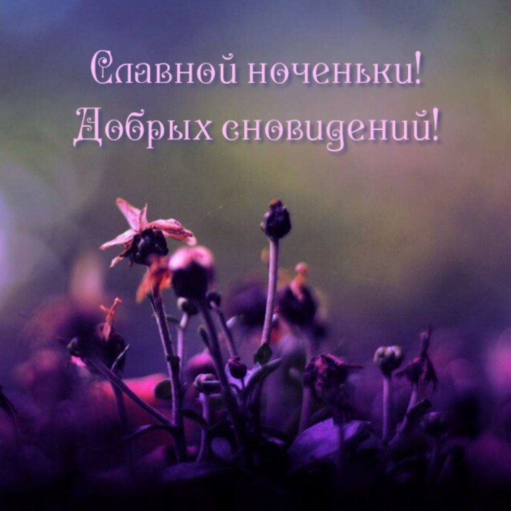 Славной ноченьки! Добрых сновидений!