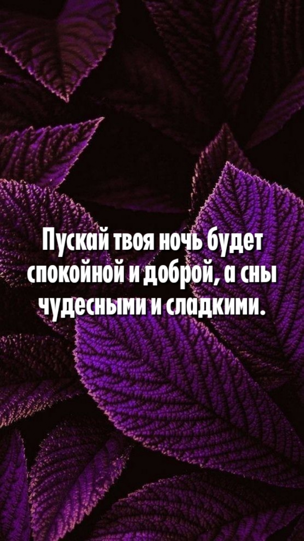Пускай твоя ночь будет спокойной и доброй