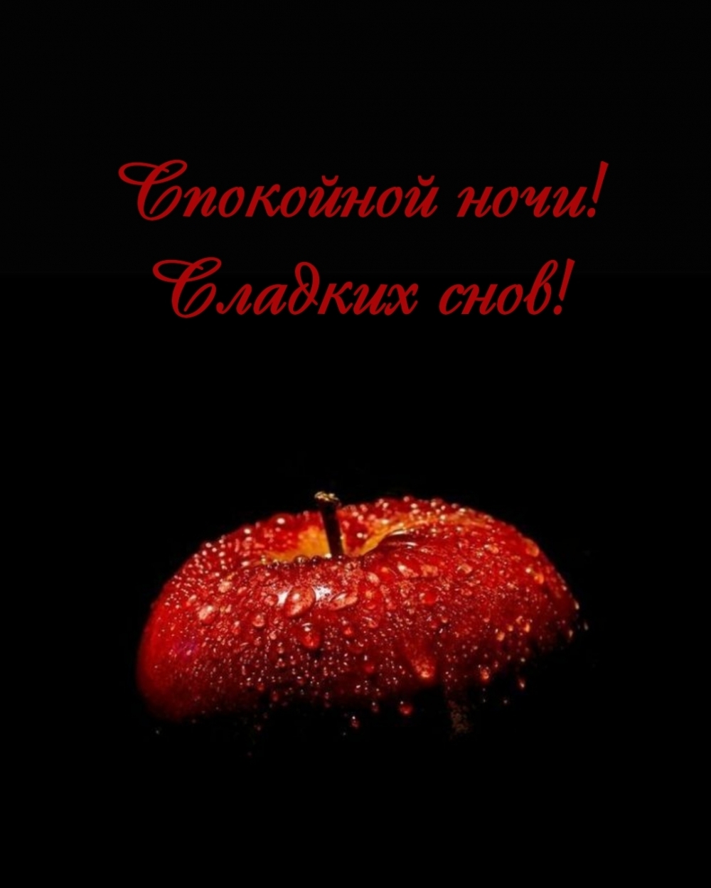 Спокойной ночи! Сладких снов!