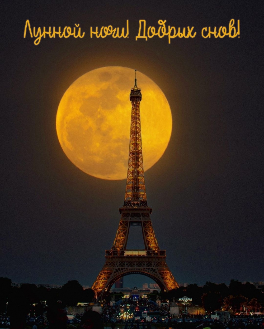 Лунной ночи! Добрых снов!