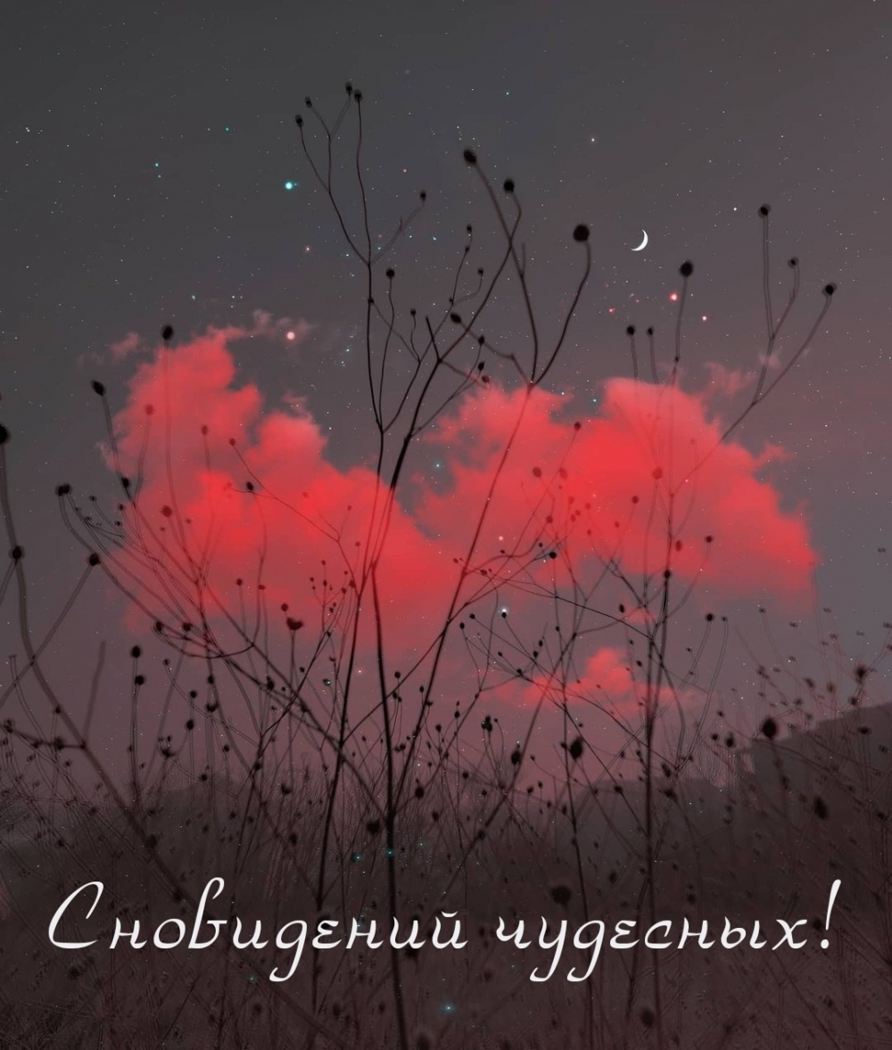 Сновидений чудесных!
