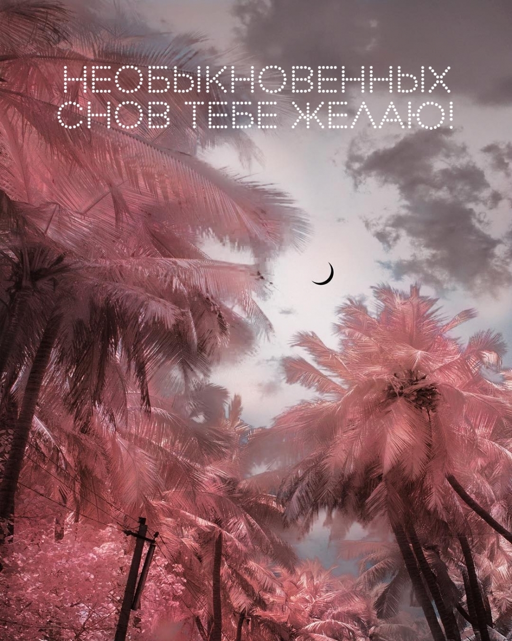 Необыкновенных снов тебе желаю!