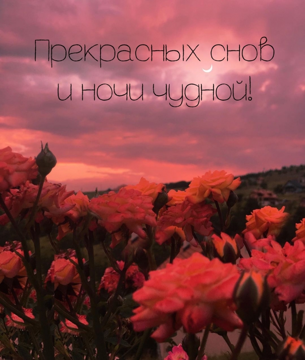 Прекрасных снов и ночи чудной!