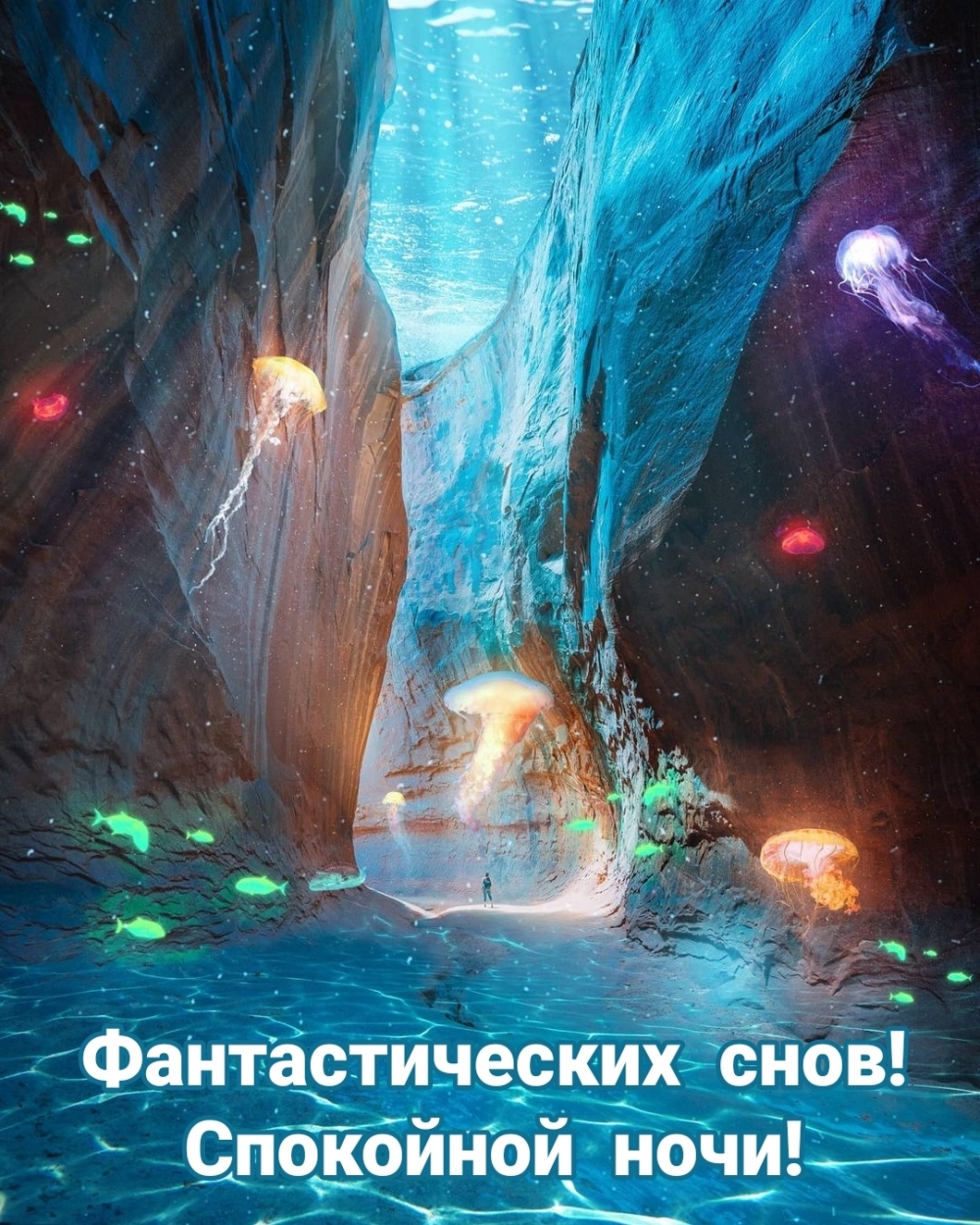 Фантастических снов! Спокойной ночи!