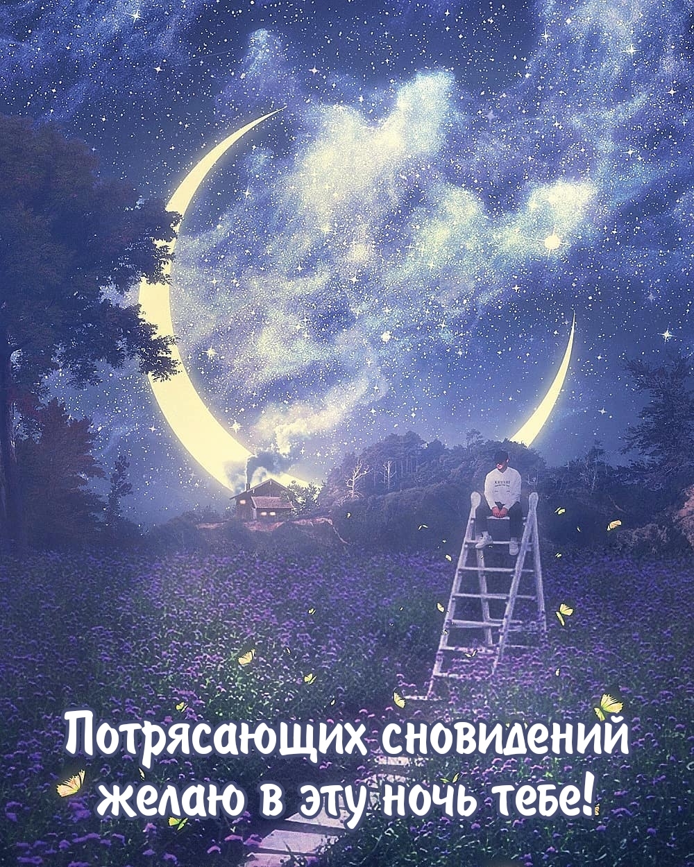 Потрясающих сновидений желаю в эту ночь тебе!