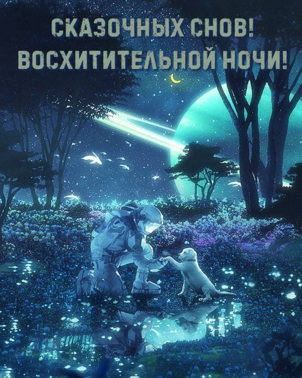 Сказочных снов! Восхитительной ночи!