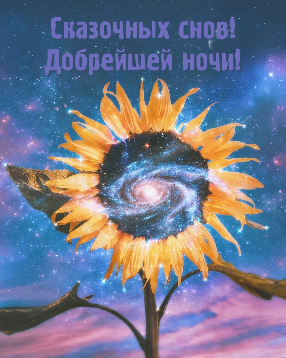 Сказочных снов! Добрейшей ночи!