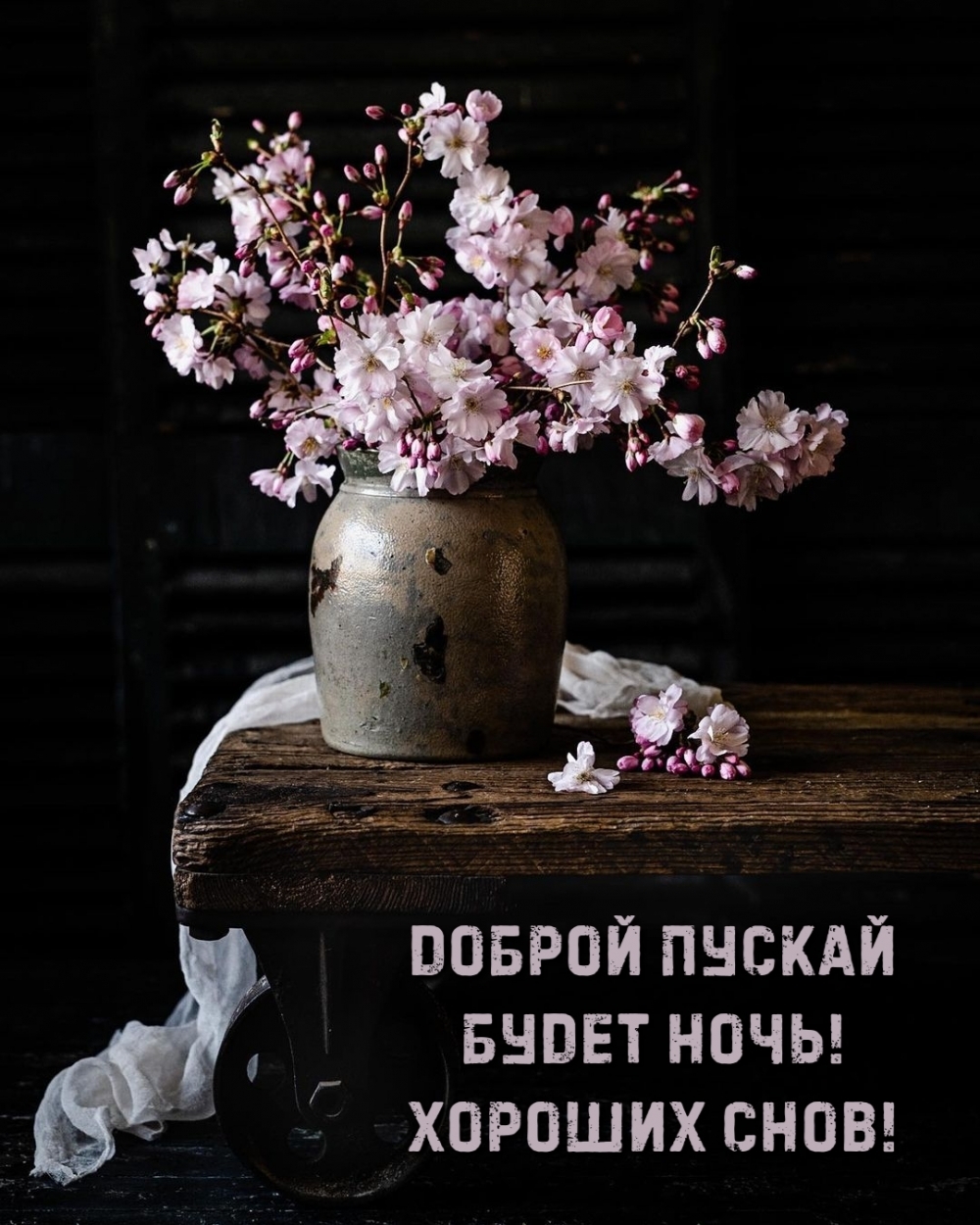 Доброй пускай будет ночь! Хороших снов!