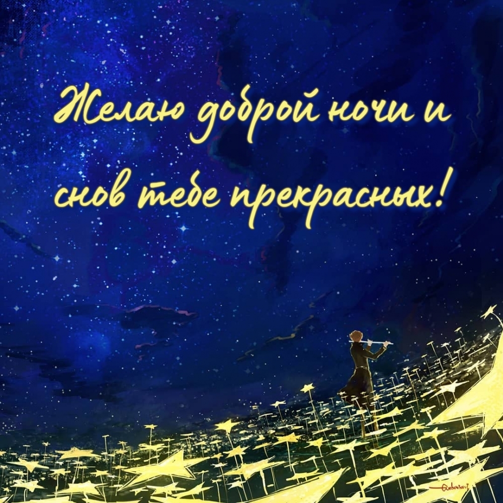 Желаю доброй ночи и снов тебе прекрасных!