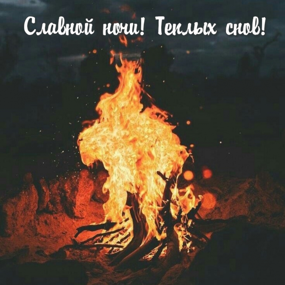 Славной ночи! Теплых снов!