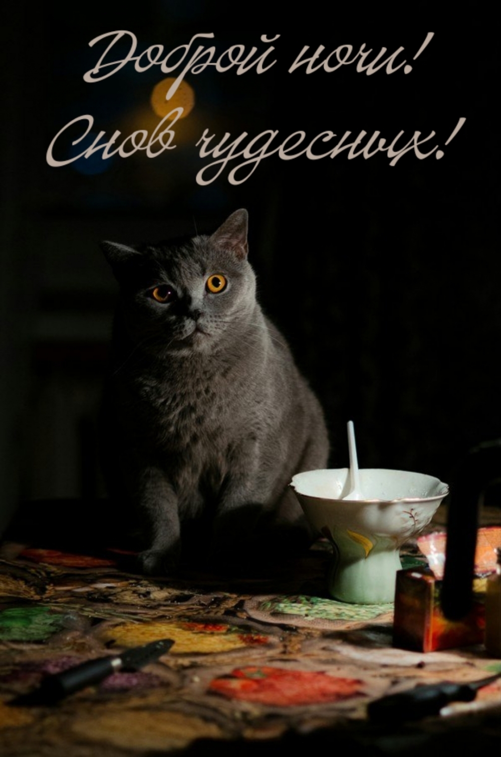 Доброй ночи! Снов чудесных!
